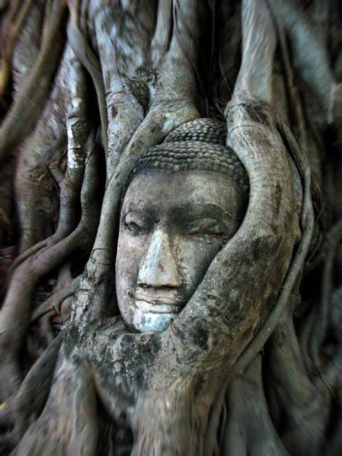 Somjai Place Ayutthaya Екстериор снимка